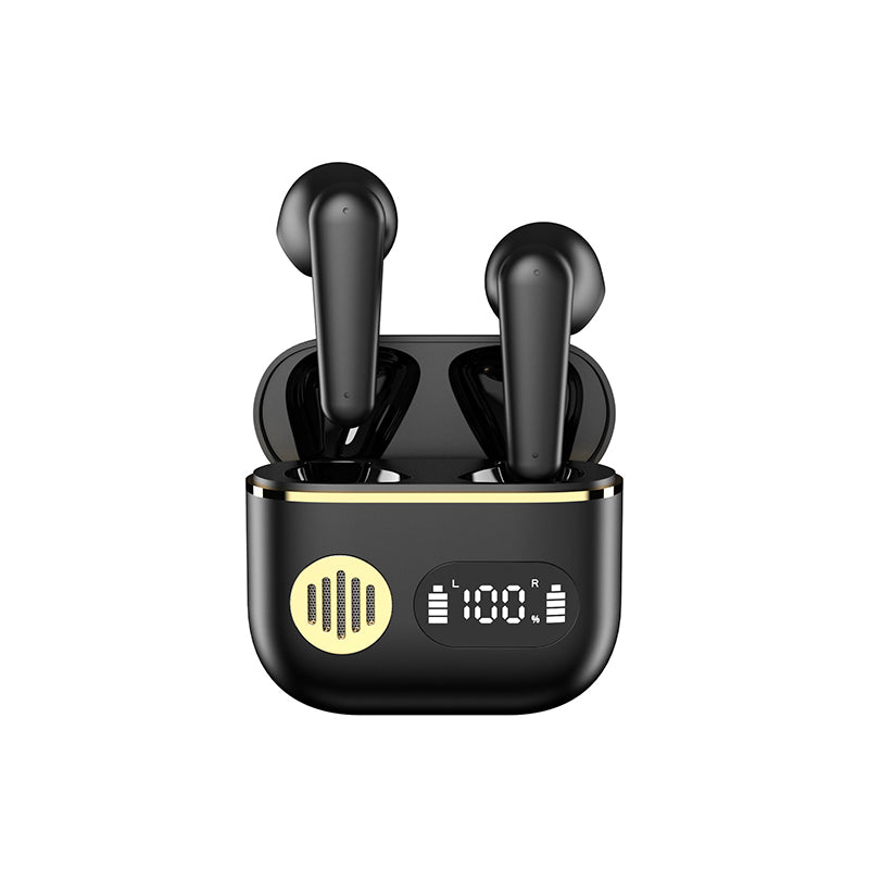Wireless In-Ear Earphones Touch Control  Noise Cancelling