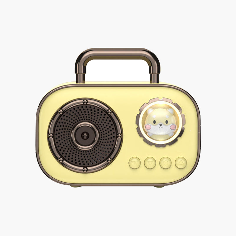 Wireless home rechargeable speaker