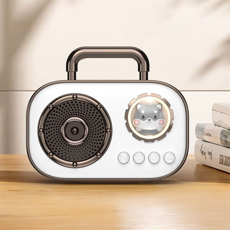 Wireless home rechargeable speaker