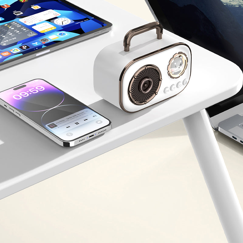 Wireless home rechargeable speaker